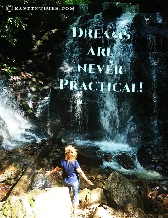 Dr. Gwen Ford's Quote of the Week is shown with Dr. Gwen Ford looking up at a waterfall 
		   with printing that says, 
		   "DREAMS ARE NEVER PRACTICAL!"